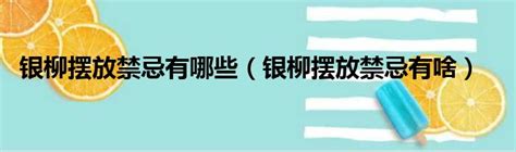 2023銀柳擺放位置